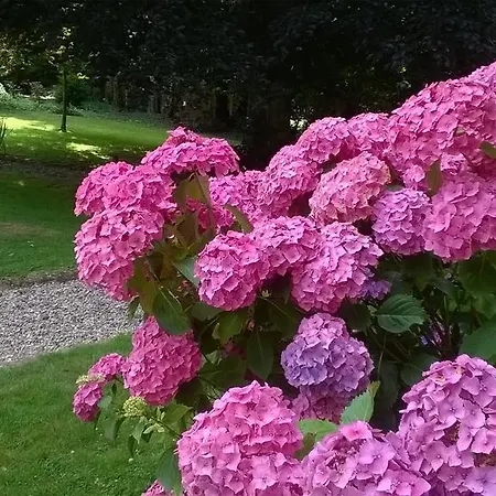 L'escarbotine Couette-café