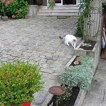 L'escarbotine Bed and breakfast 3*