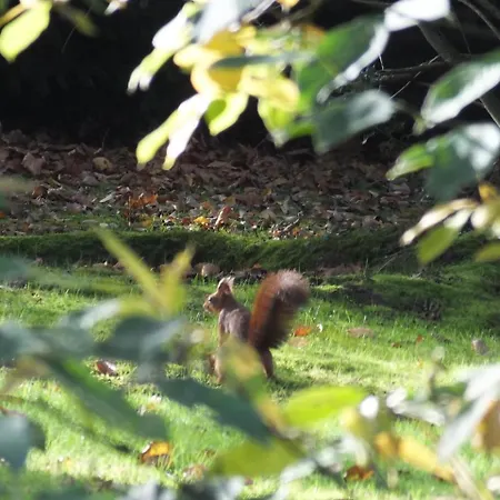 Couette-café L'escarbotine 3*