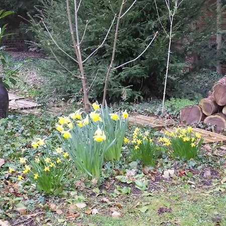 Couette-café L'escarbotine Friville-Escarbotin