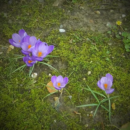 Couette-café L'escarbotine