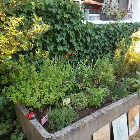 L'escarbotine Bed & Breakfast Friville-Escarbotin