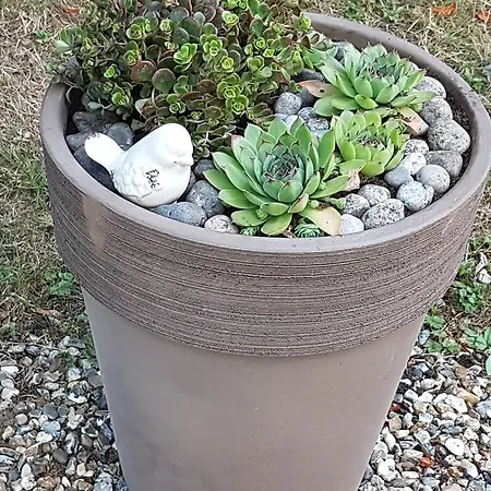 Couette-café L'escarbotine Friville-Escarbotin