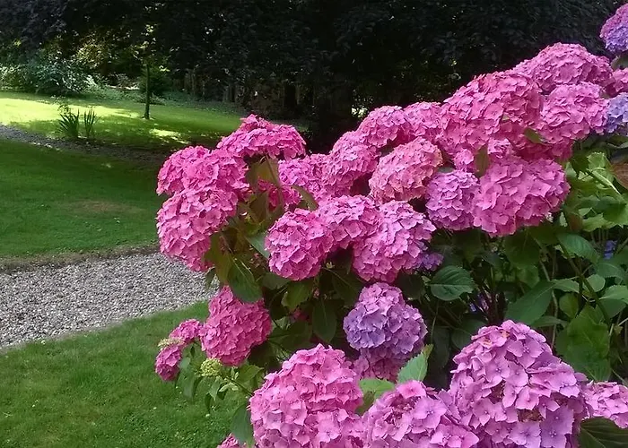 L'escarbotine Bed & Breakfast