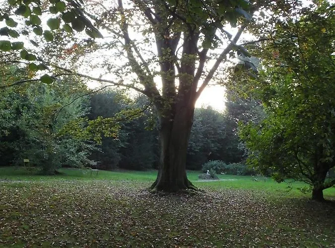 L'escarbotine Bed & Breakfast