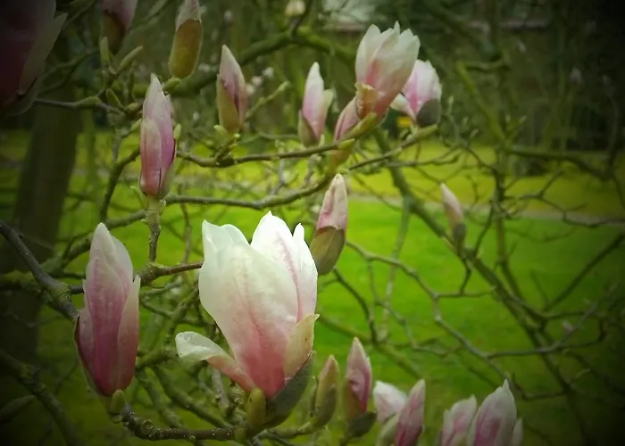 L'escarbotine Bed & Breakfast Friville-Escarbotin