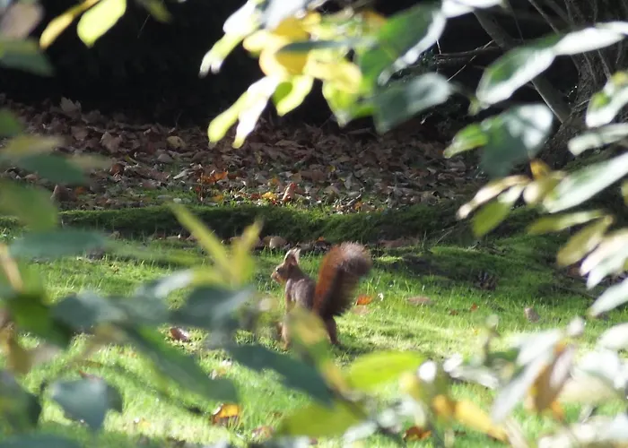 Bed & Breakfast L'escarbotine 3*