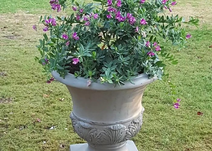 Bed & Breakfast L'escarbotine